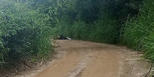 Motociclista morre eletrocutado após queda de poste na Zona Rural de Vitória da Conquista; Leia nota da Coelba