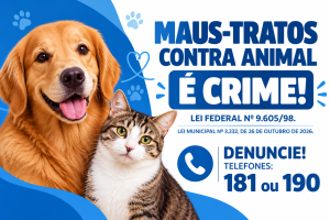 Condomínios de Conquista terão de afixar avisos contra maus-tratos a animais; multa pode chegar a R$ 3 mil