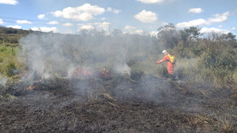 Brigada combate 353 focos de incêndio em dois meses em Conquista