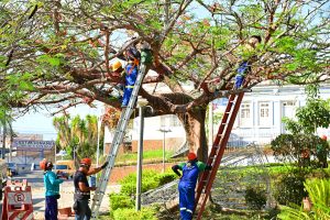 Natal em Conquista terá árvore de 9 metros e plataforma sobre o lago da Praça Tancredo Neves