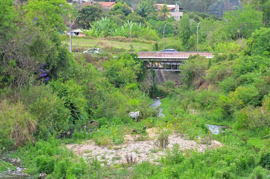 Ponte da Luís Eduardo Magalhães terá obras de proteção sem interdição